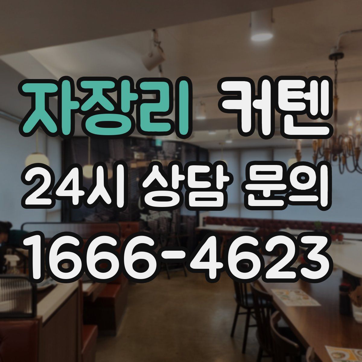 자장리 커텐