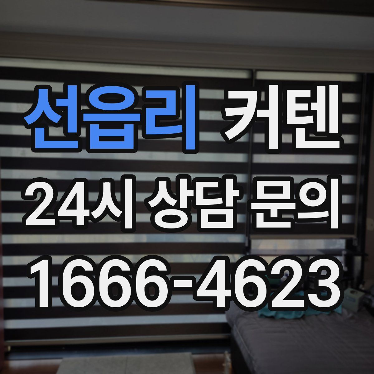 선읍리 커텐