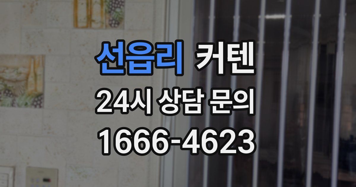 선읍리 커텐