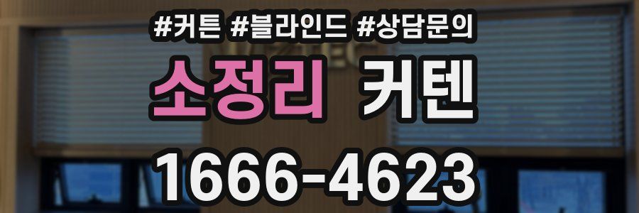 소정리 커텐