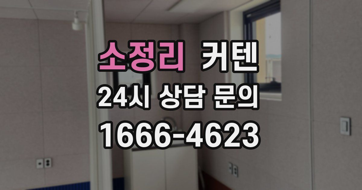 소정리 커텐