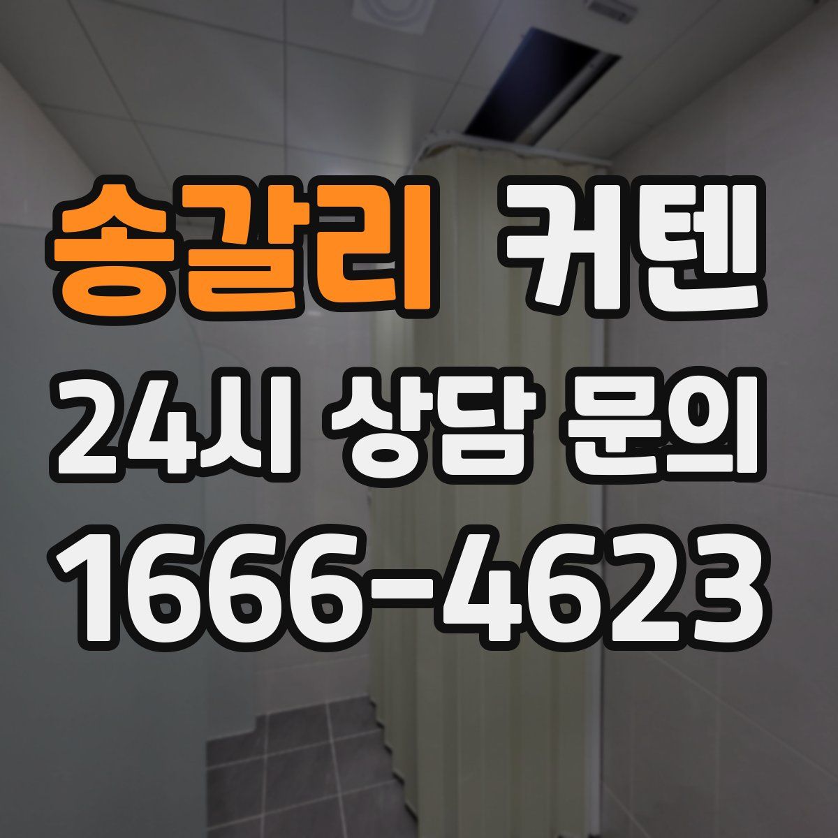 송갈리 커텐