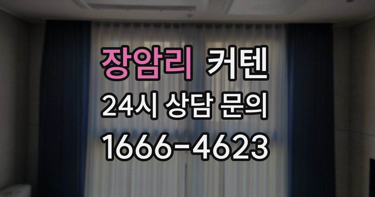 장암리 커텐