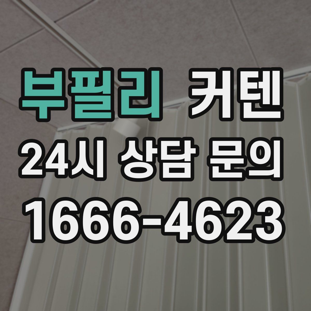 부필리 커텐