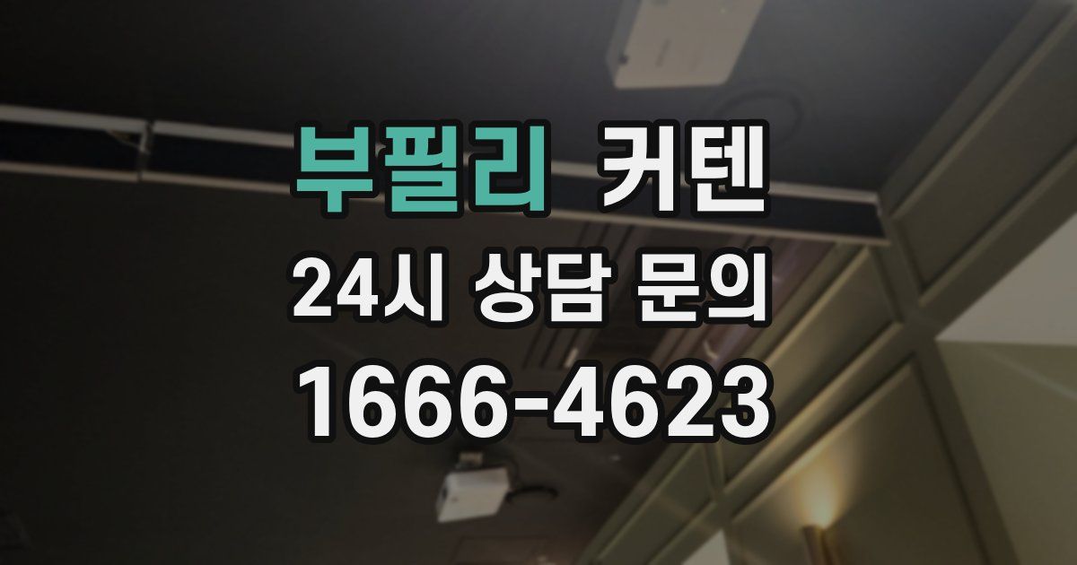 부필리 커텐