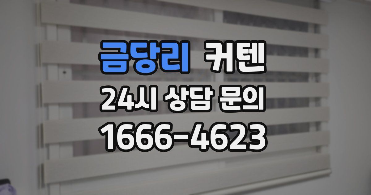 금당리 커텐
