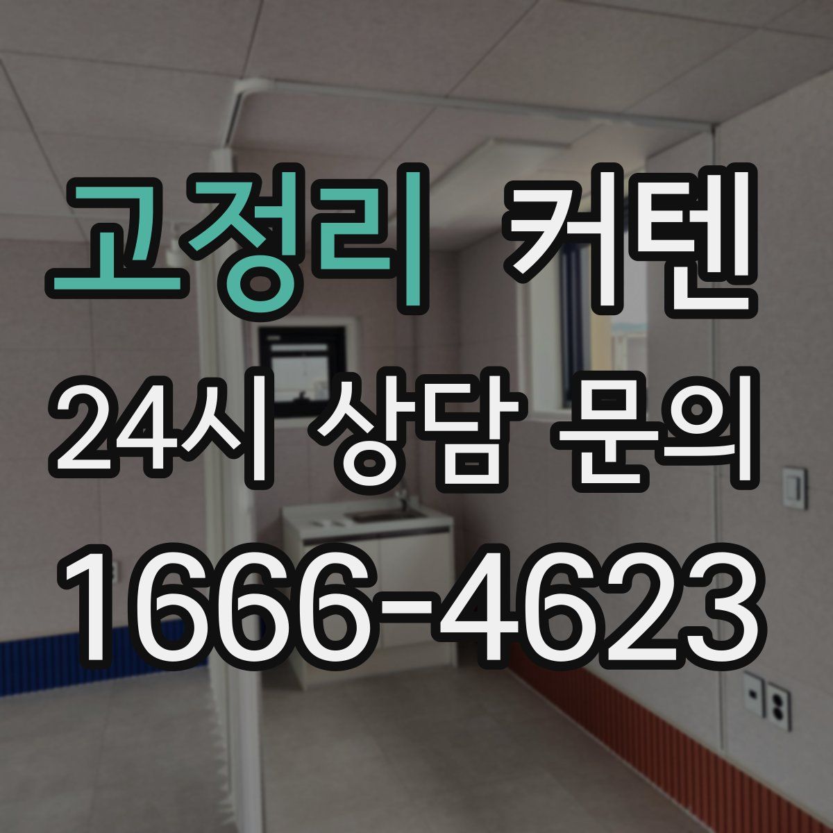 고정리 커텐
