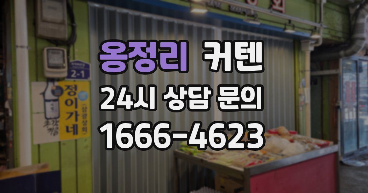 옹정리 커텐