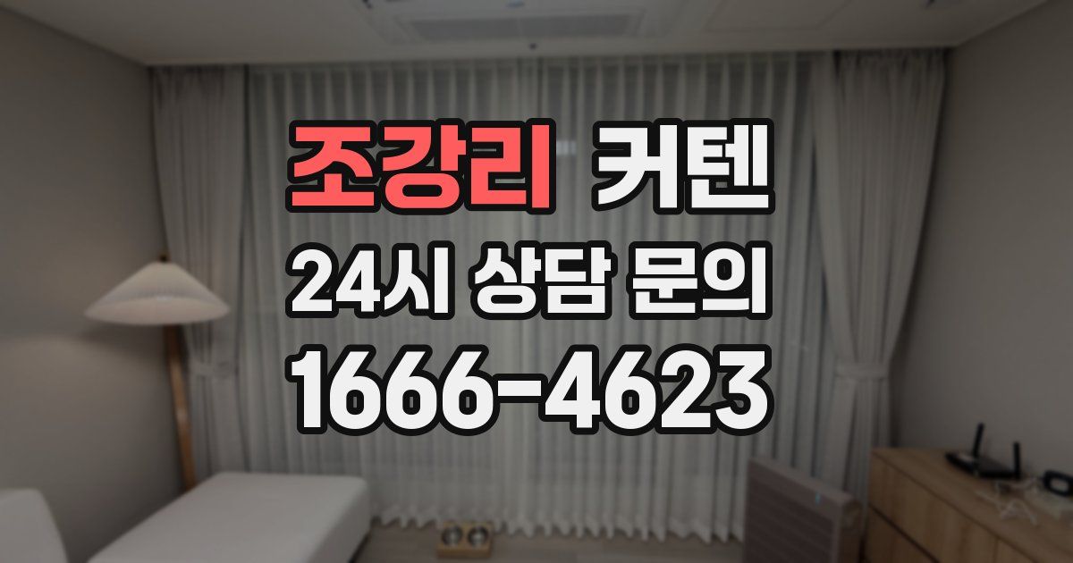 조강리 커텐