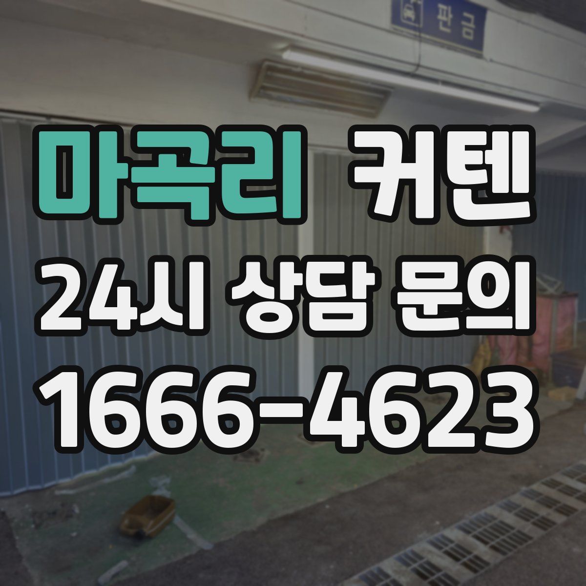 마곡리 커텐