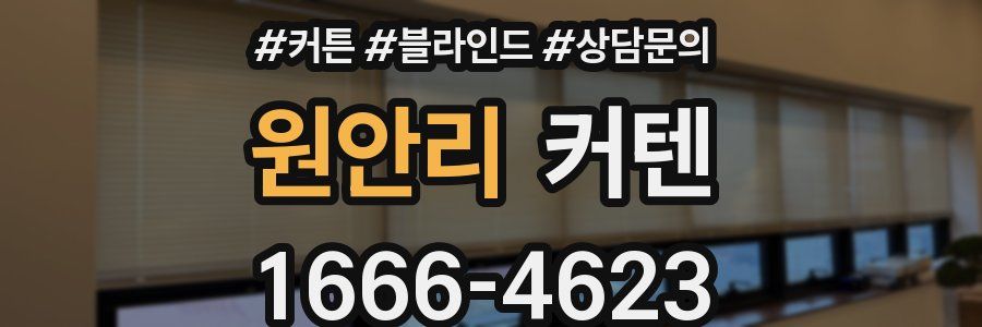 원안리 커텐