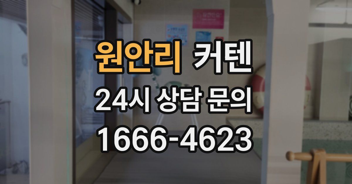 원안리 커텐