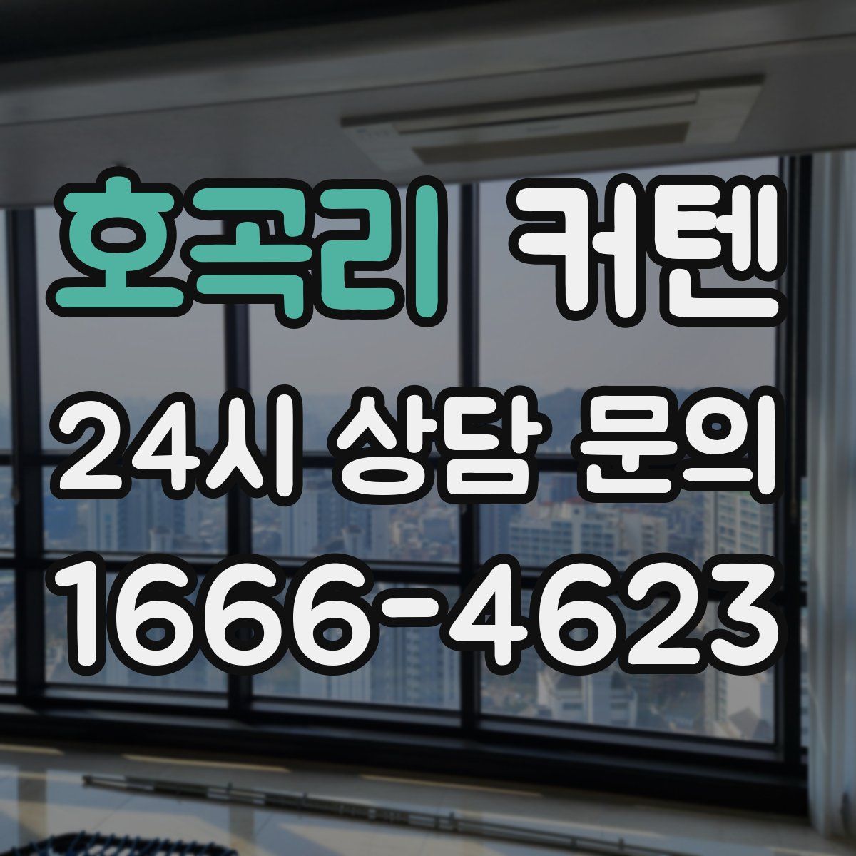 호곡리 커텐