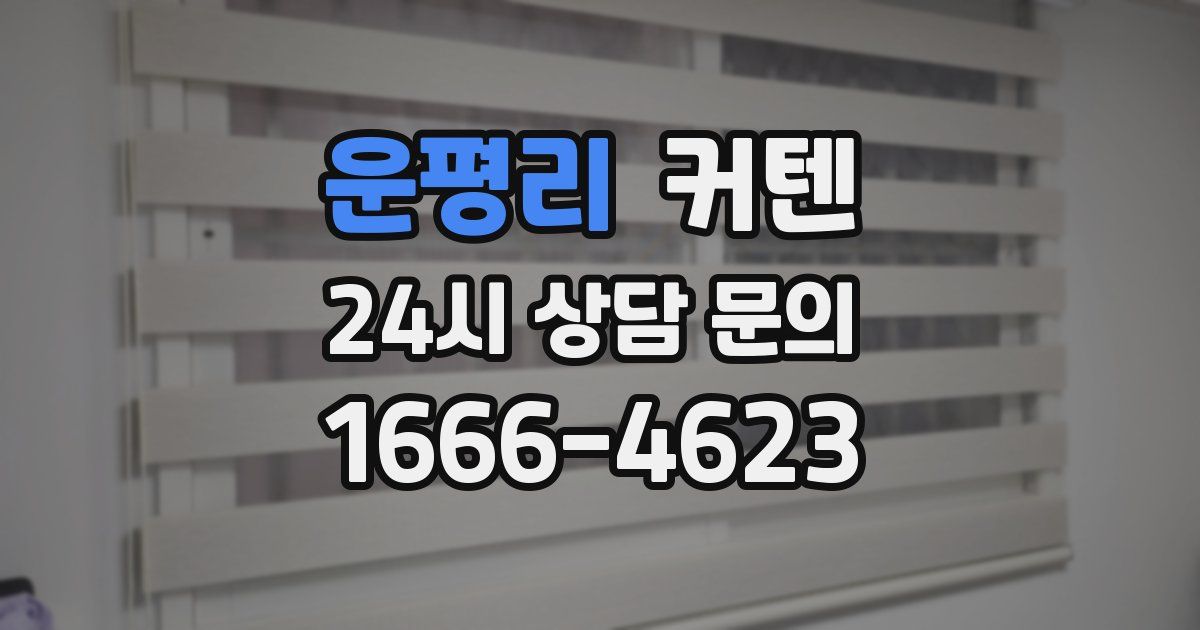 운평리 커텐