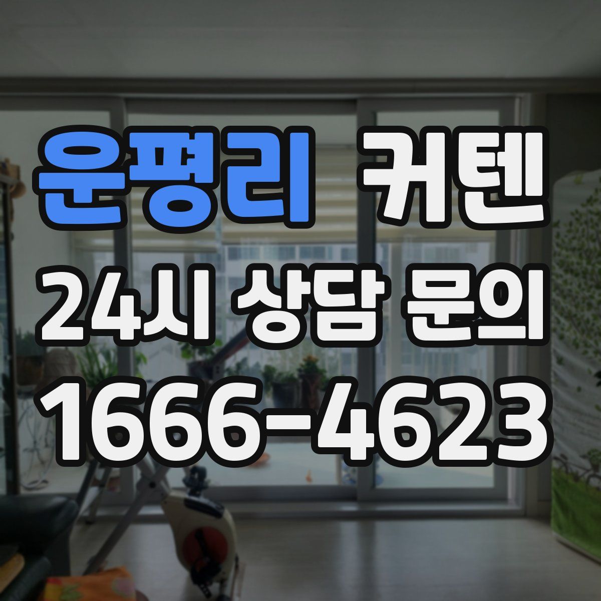 운평리 커텐