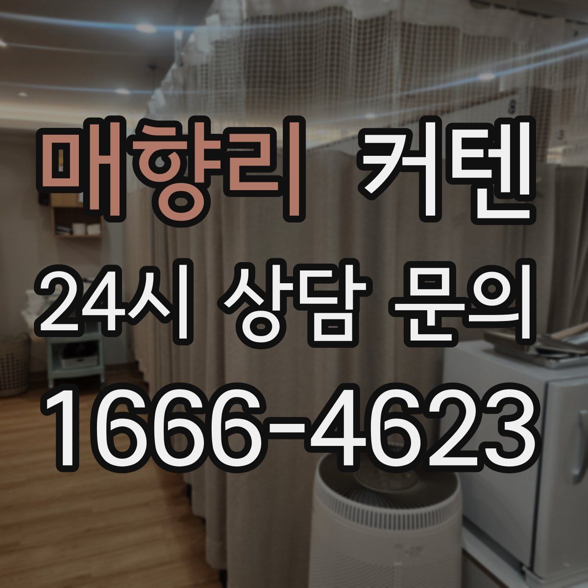 매향리 커텐