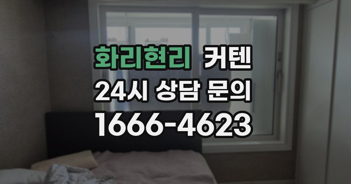 화리현리 커텐