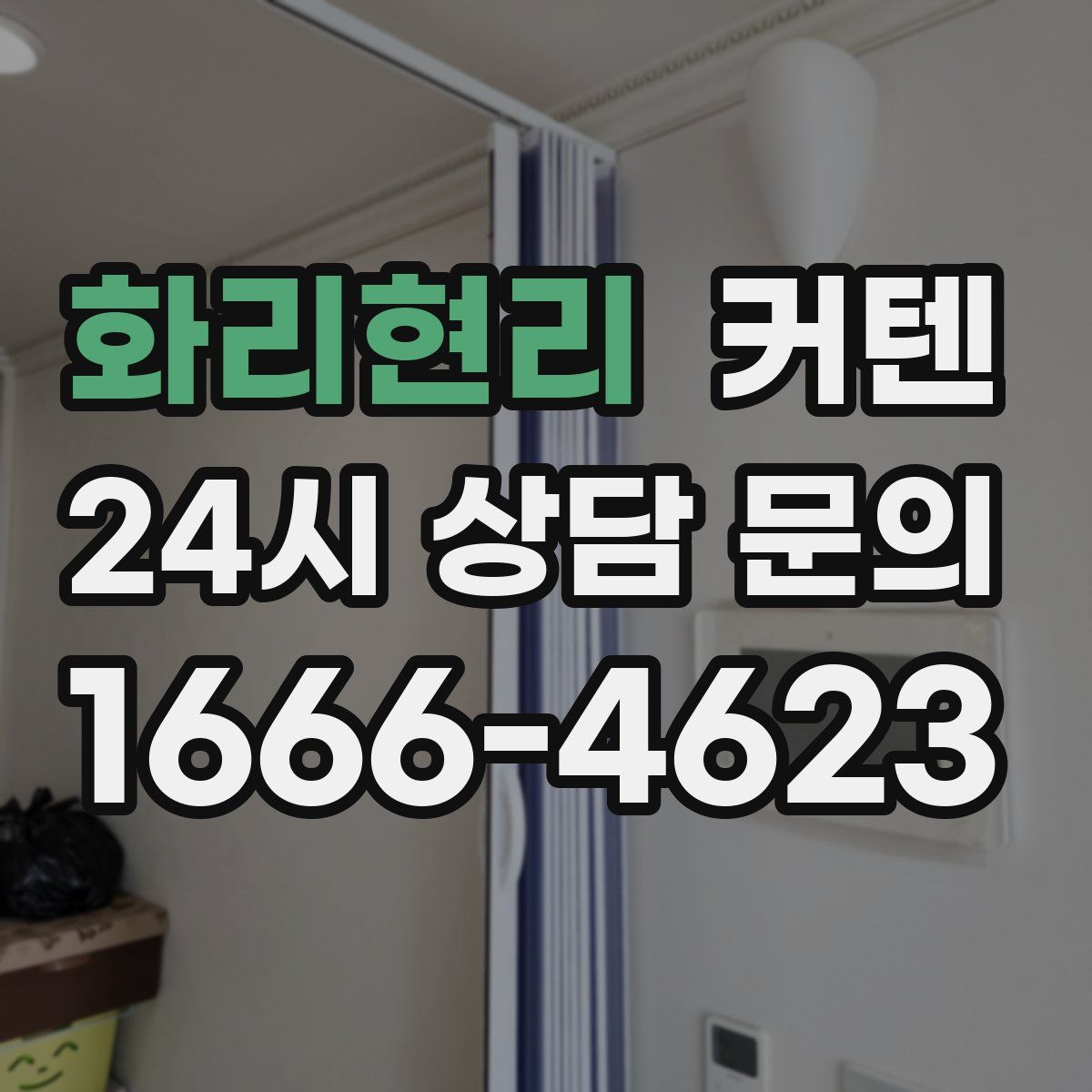 화리현리 커텐