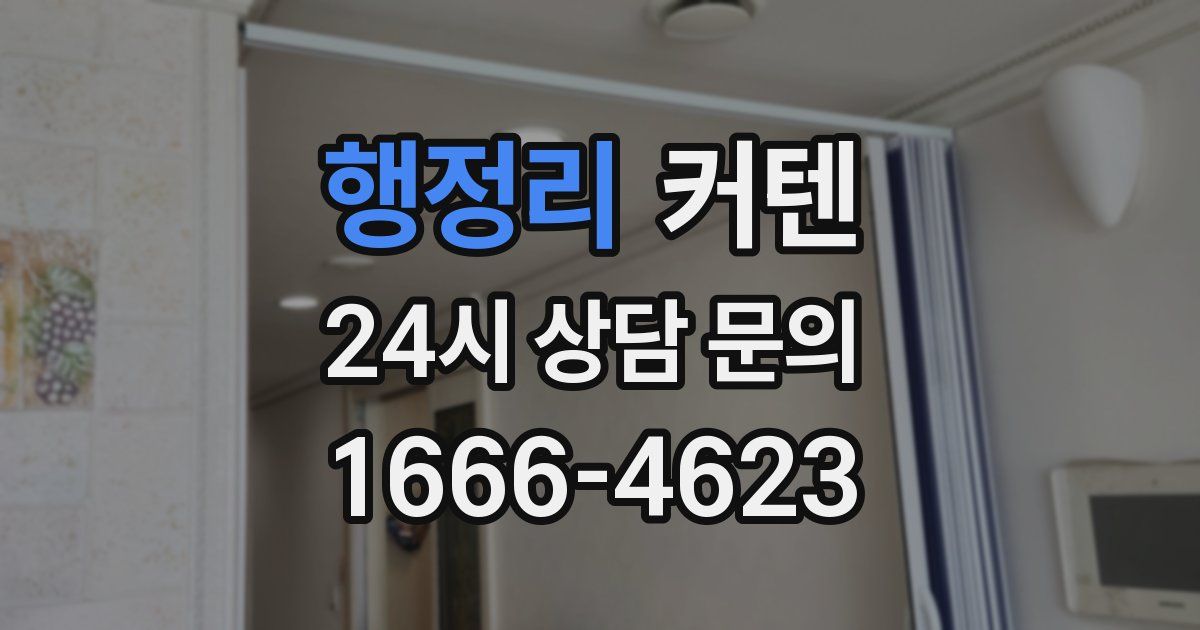 행정리 커텐