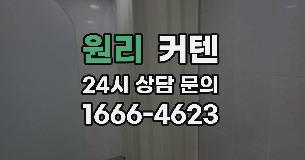 원리 커텐