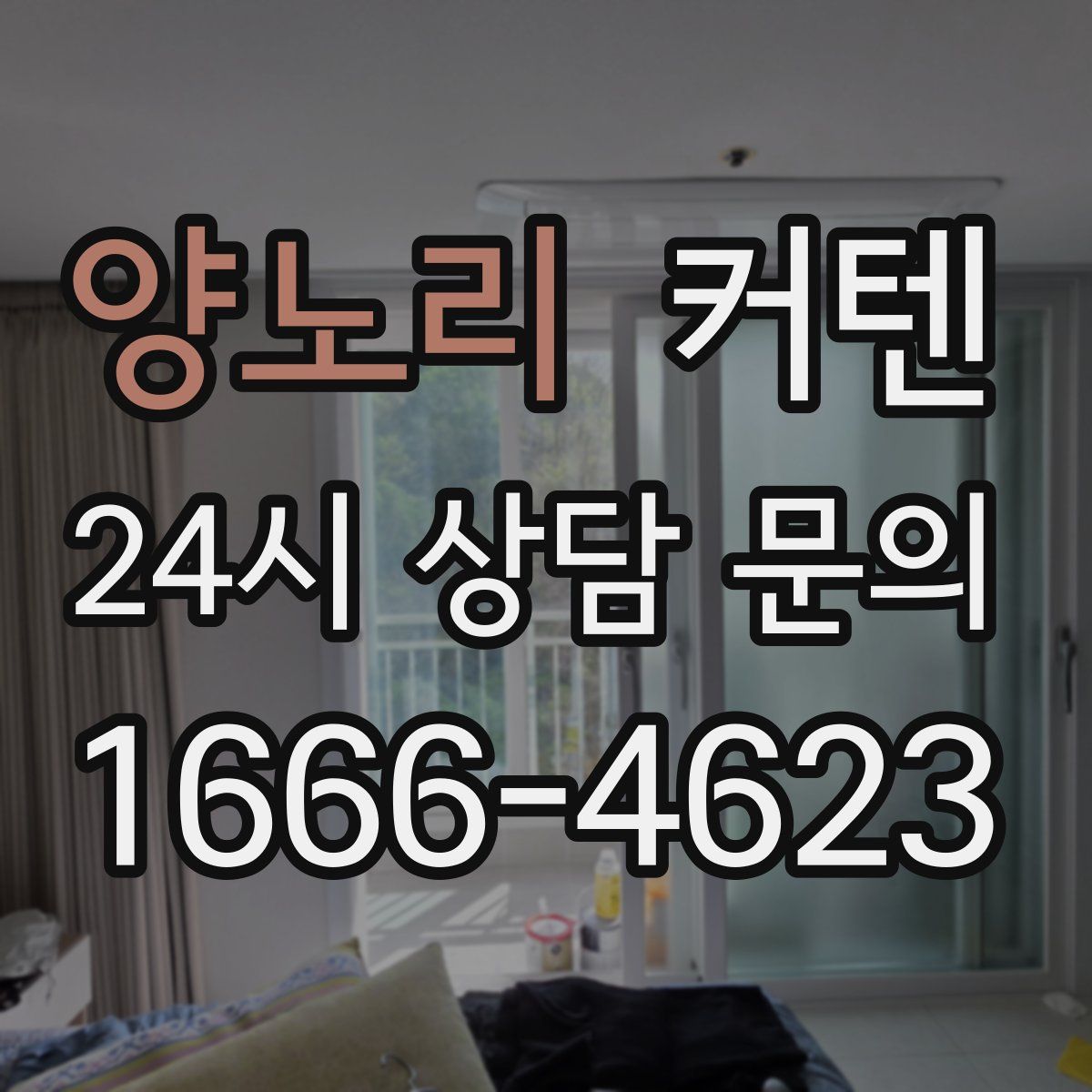 양노리 커텐