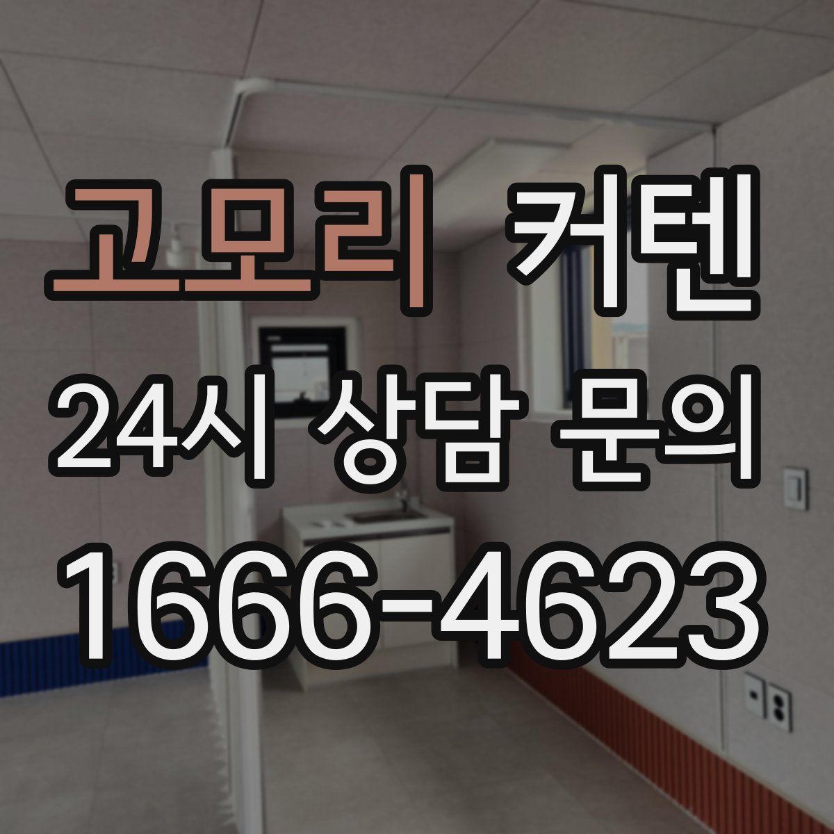 고모리 커텐