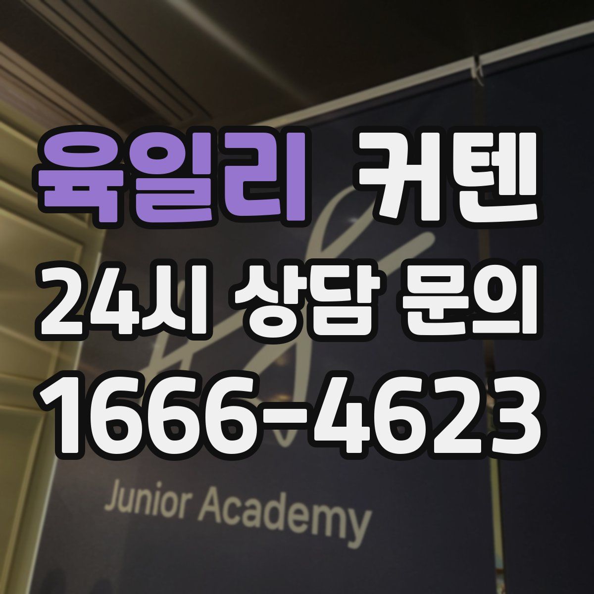 육일리 커텐