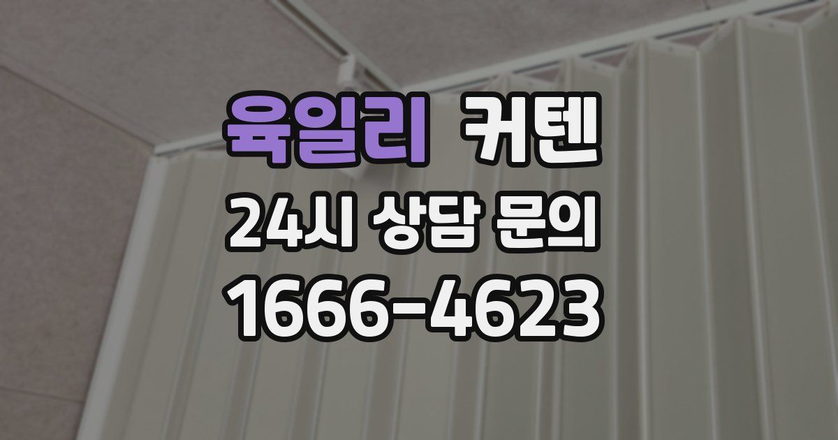 육일리 커텐