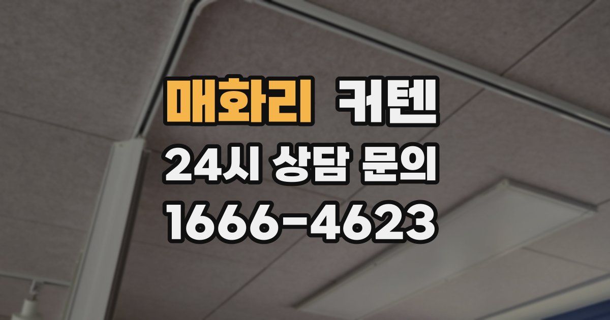 매화리 커텐