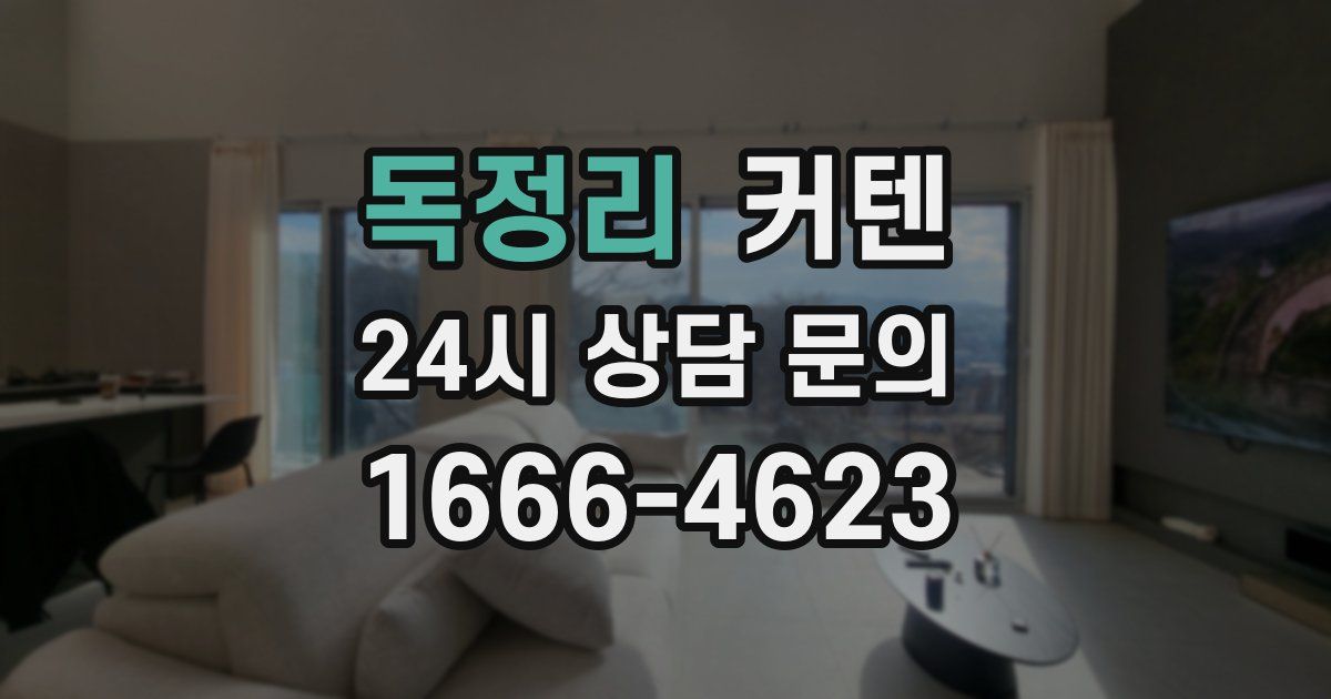 독정리 커텐