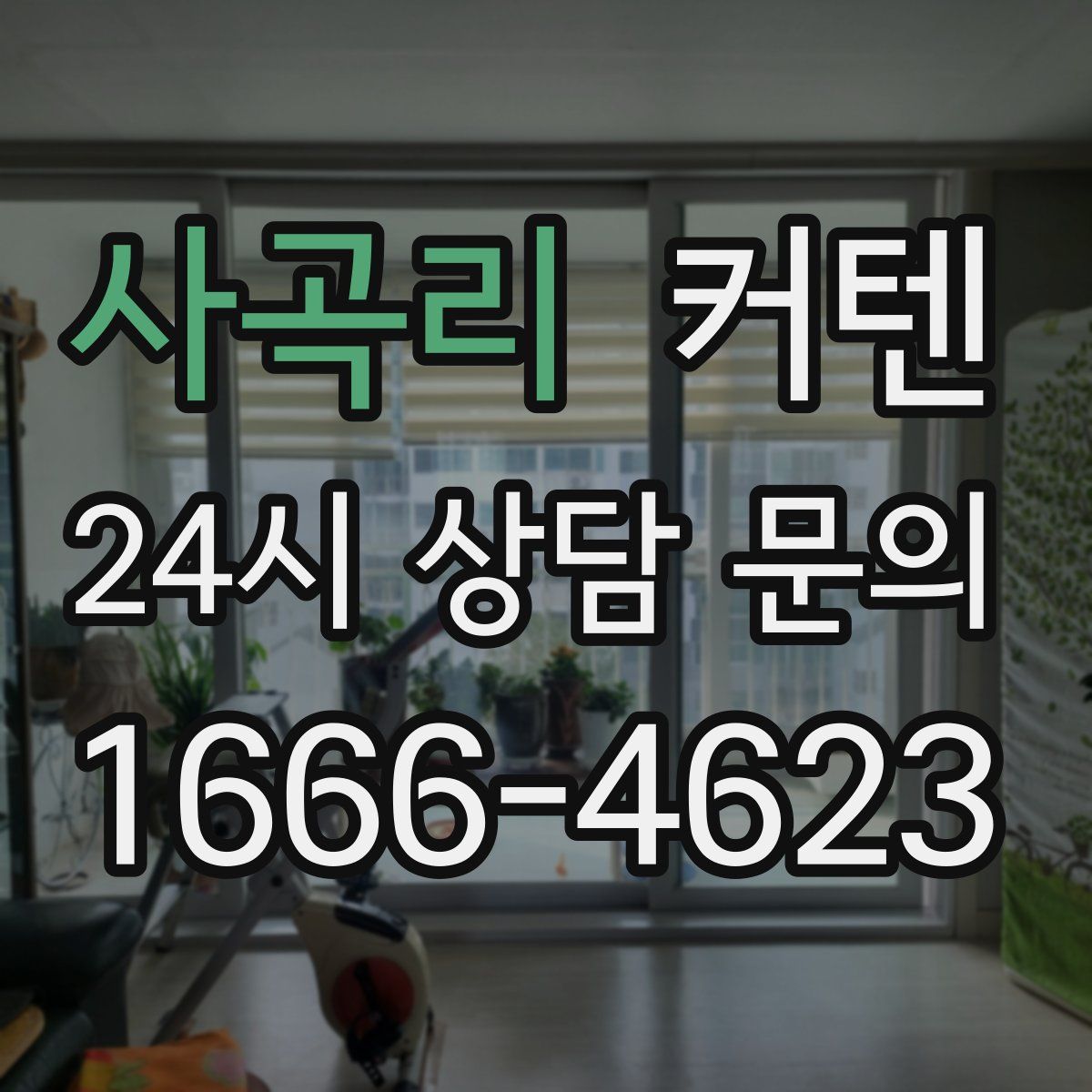 사곡리 커텐