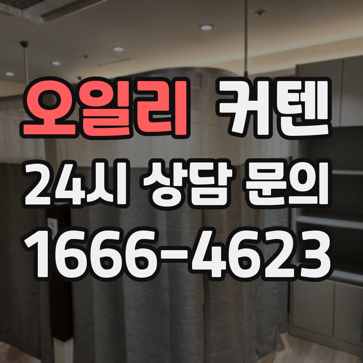 오일리 커텐