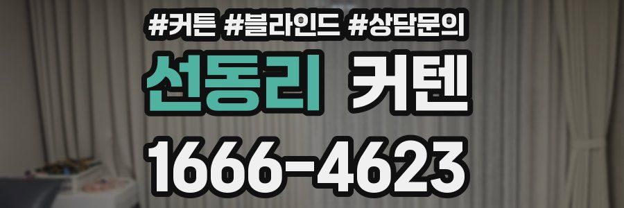 선동리 커텐