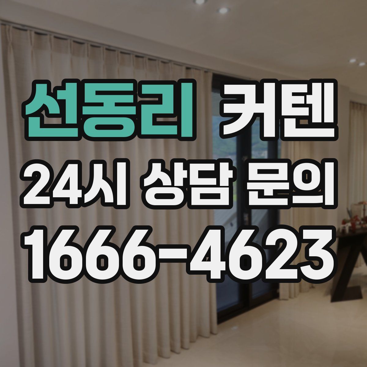 선동리 커텐