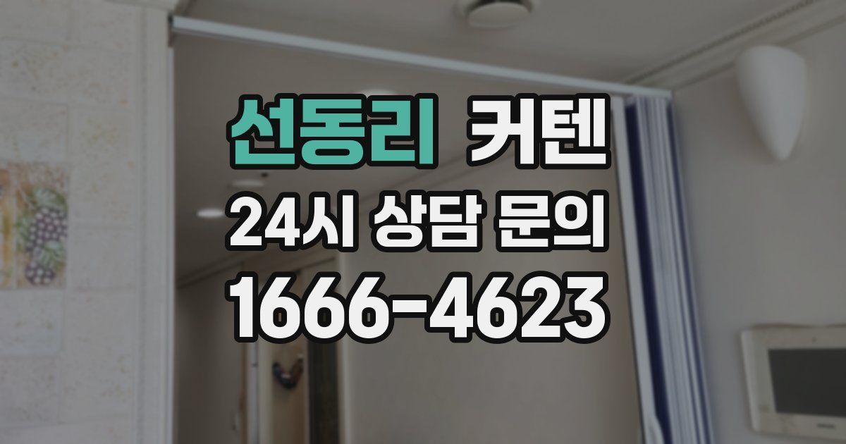 선동리 커텐