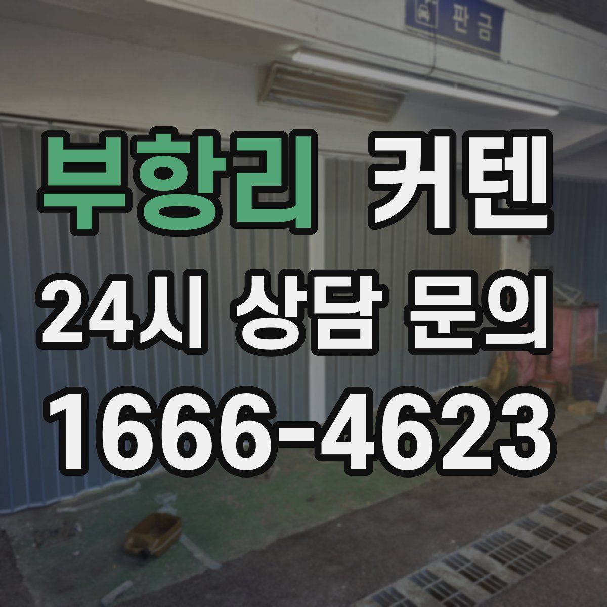 부항리 커텐