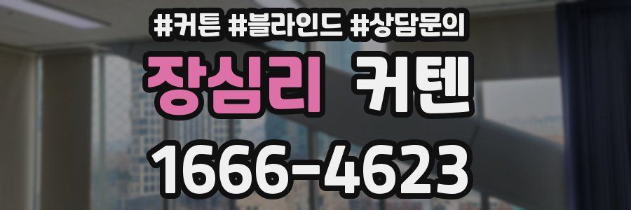 장심리 커텐