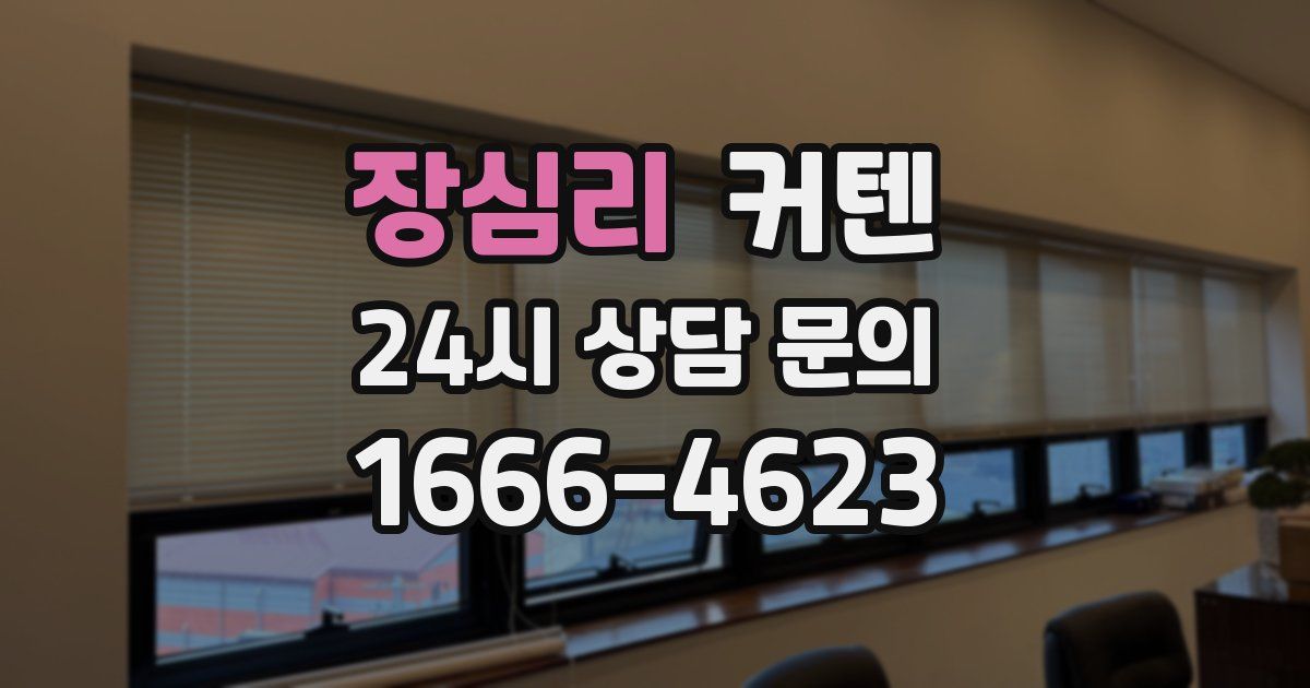 장심리 커텐