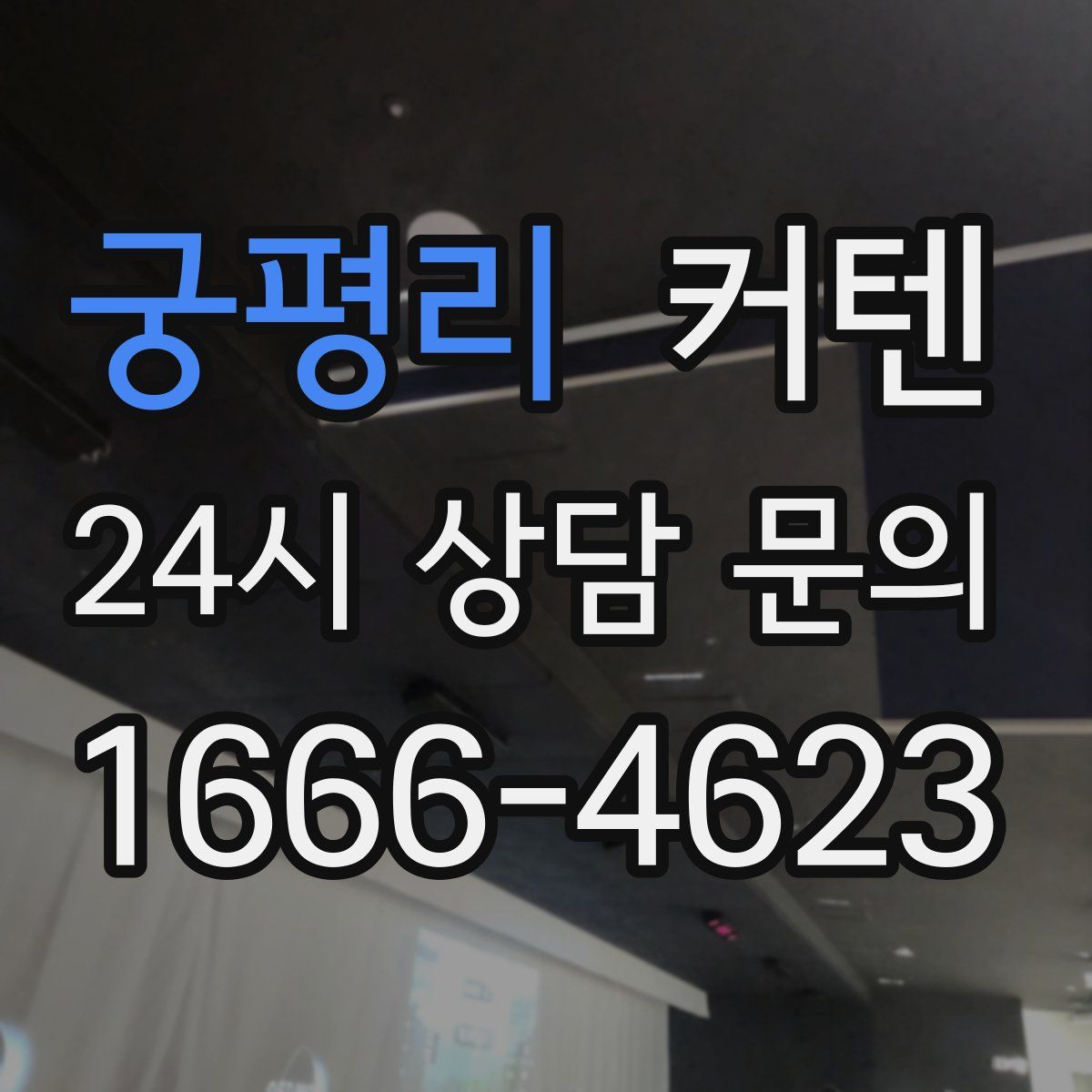 궁평리 커텐