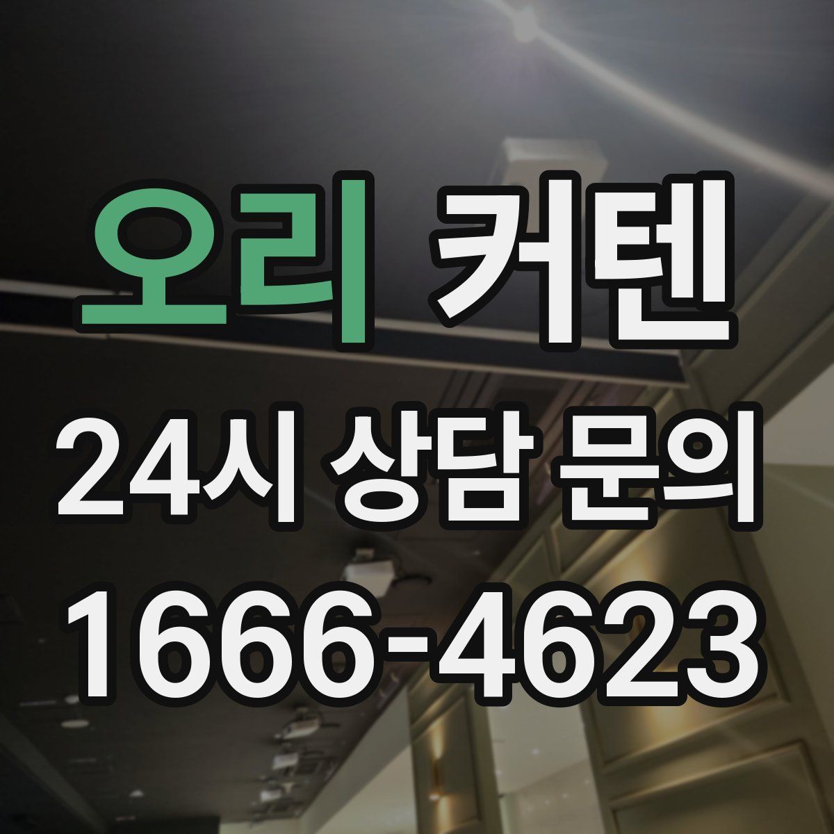 오리 커텐