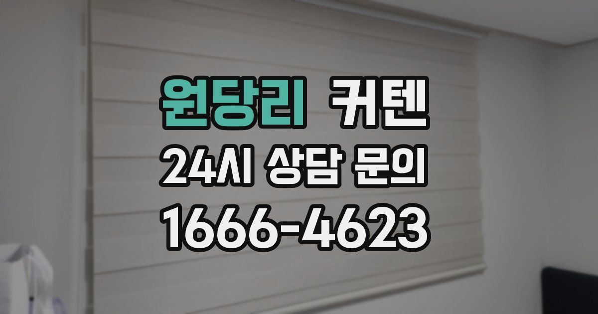 원당리 커텐