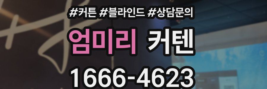 엄미리 커텐