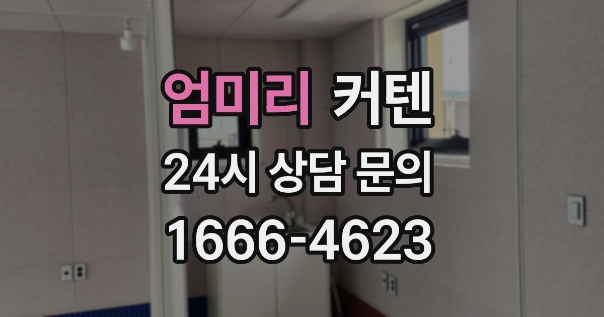 엄미리 커텐