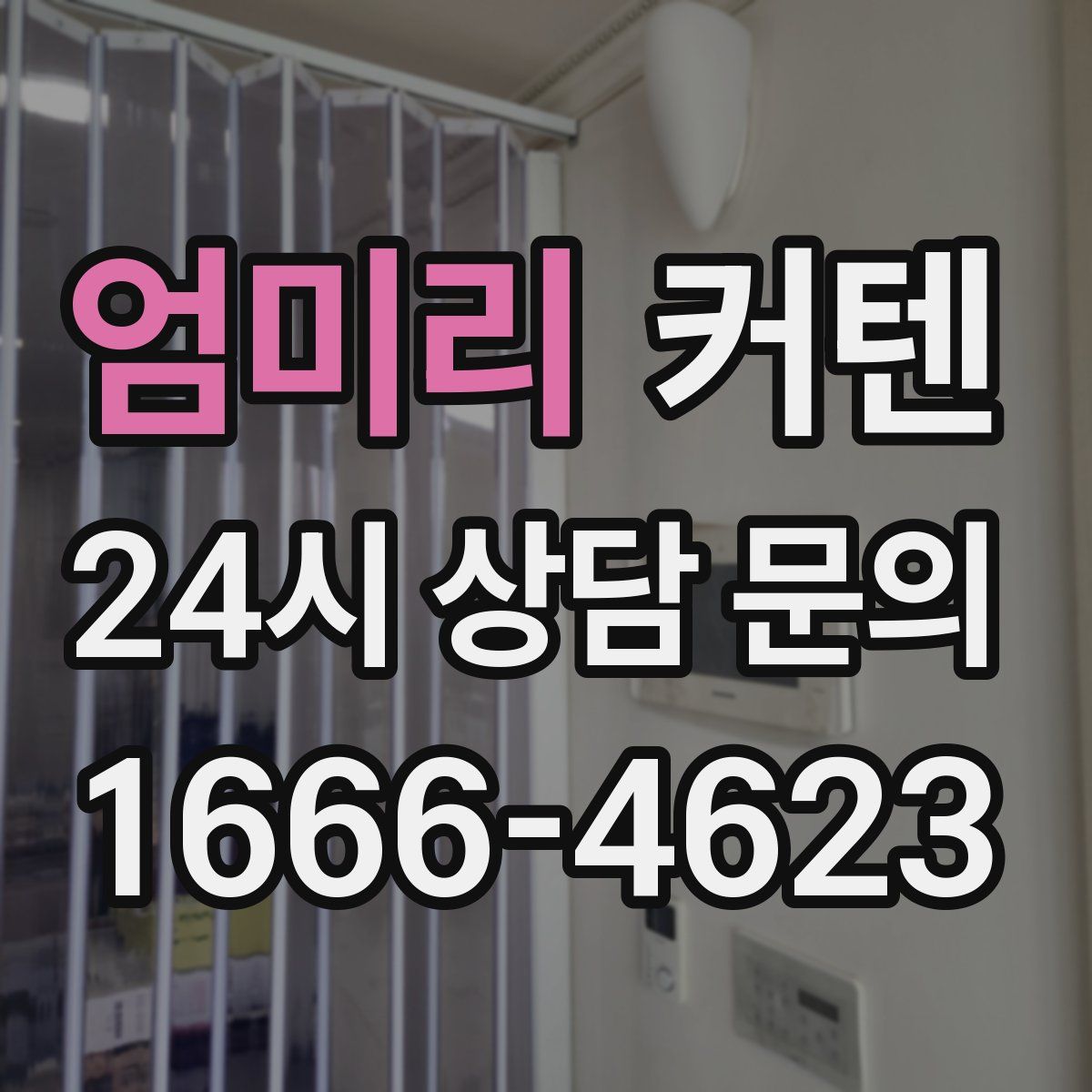 엄미리 커텐