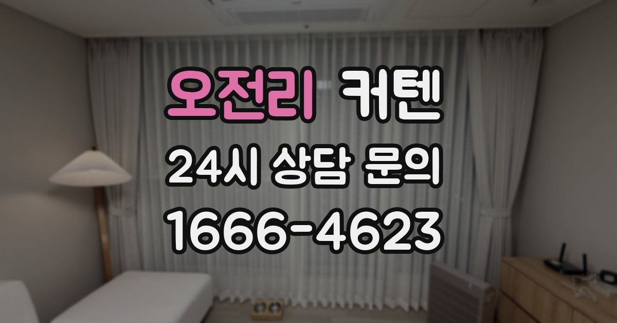 오전리 커텐