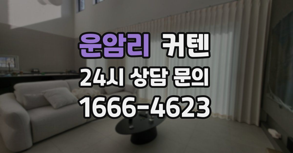 운암리 커텐