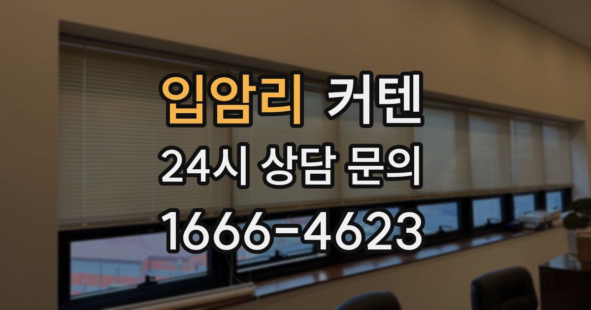 입암리 커텐