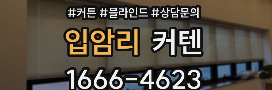 입암리 커텐