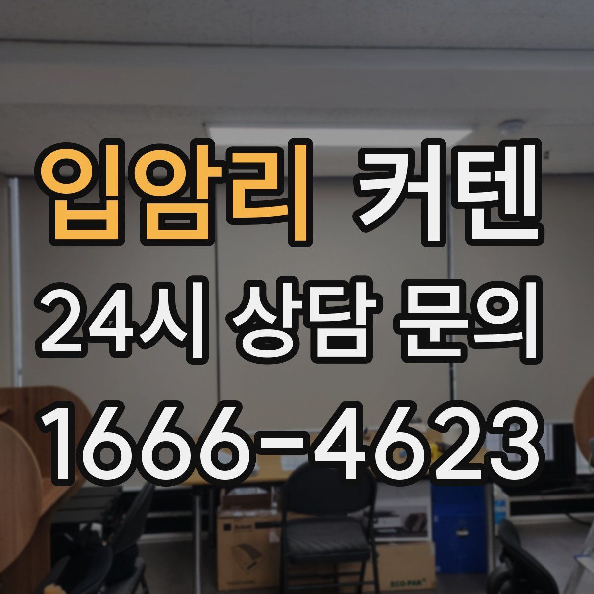 입암리 커텐