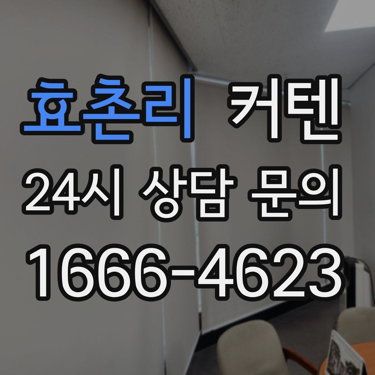 효촌리 커텐